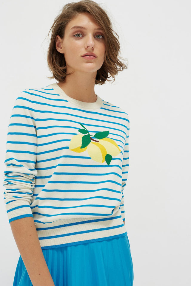 Blue Stripe Lemon Sweater image 1