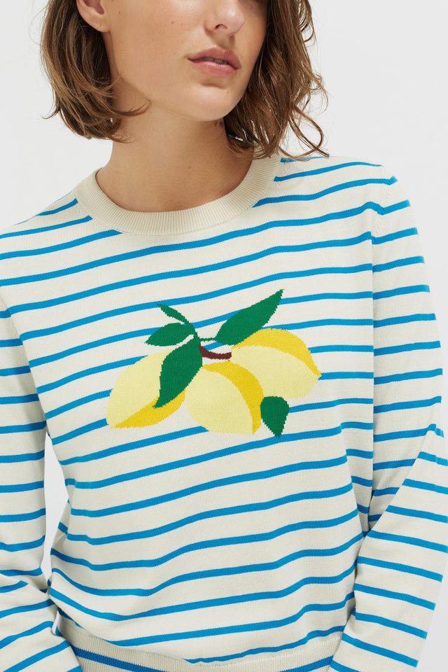 Blue Stripe Lemon Sweater image 4