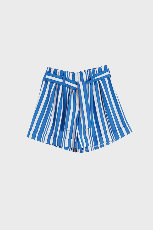 Blue Striped Parasol Shorts image 2