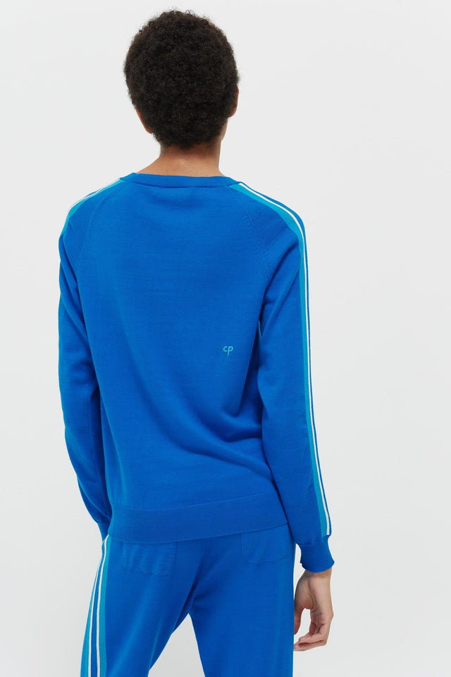 Royal Blue Seaside Stripe Sweater image 5