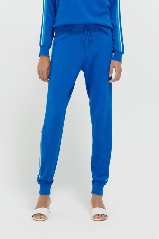 Royal Blue Seaside Stripe Track Pants image 1