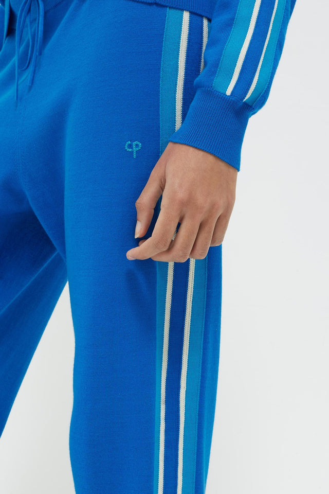 Royal Blue Seaside Stripe Track Pants image 4