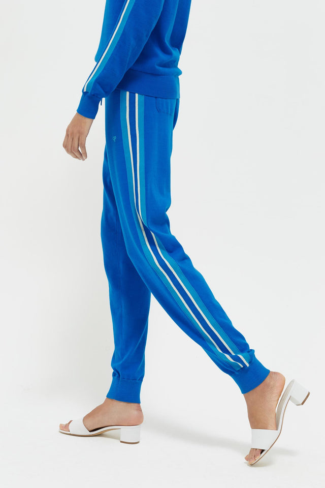 Royal Blue Seaside Stripe Track Pants image 5