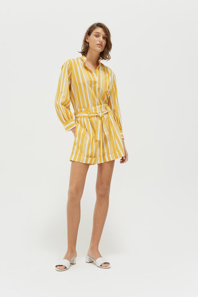Yellow Striped Parasol Shorts image 4