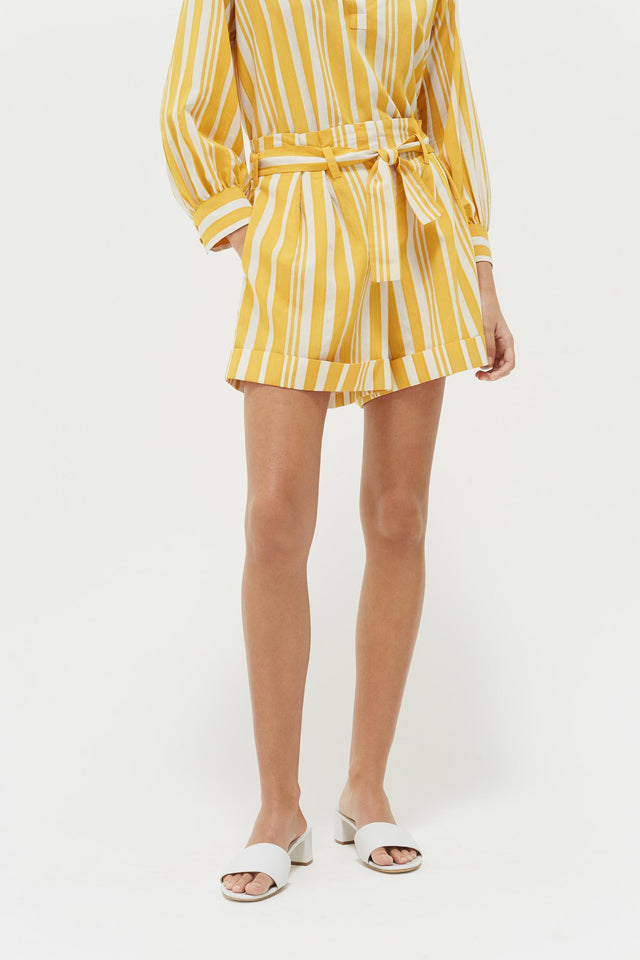 Yellow Striped Parasol Shorts image 1