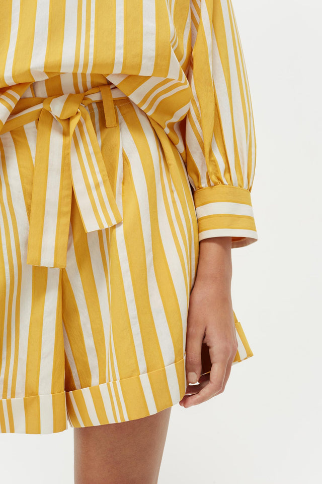 Yellow Striped Parasol Shorts image 3