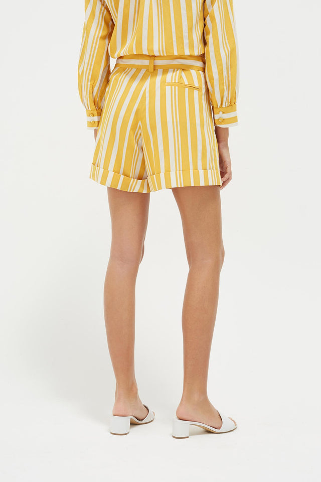 Yellow Striped Parasol Shorts image 5