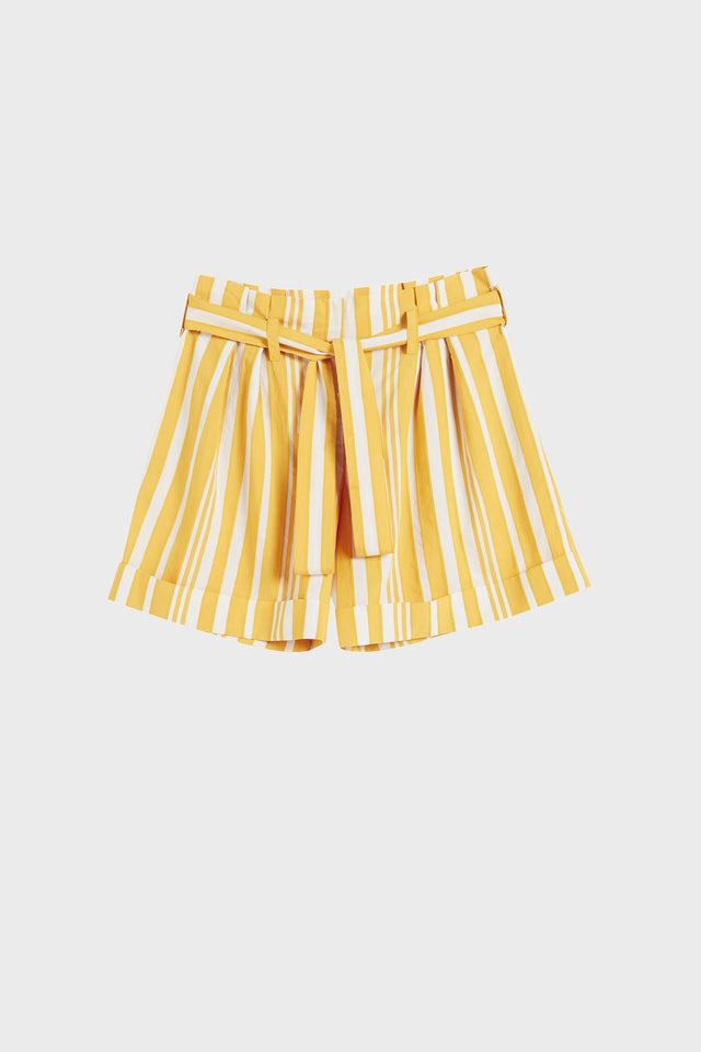 Yellow Striped Parasol Shorts image 2